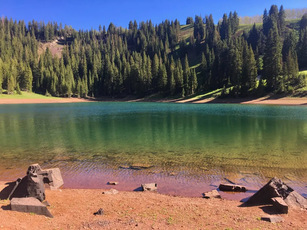Clear lake with green water, surrounded by pine trees under a bright blue sky. Rocks on shore.